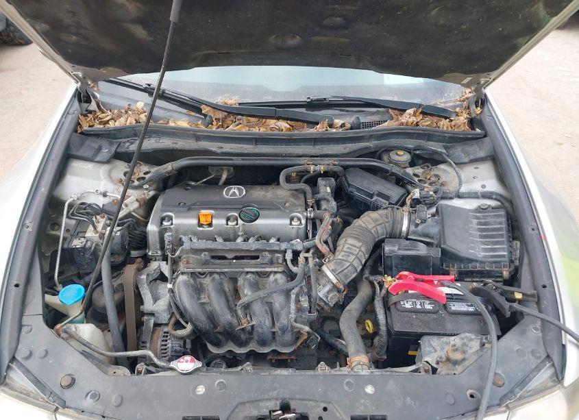 Photo 10 of 2010 Acura Tsx 2.4/2.4 (A5) (VIN JH4CU2F68AC002098)