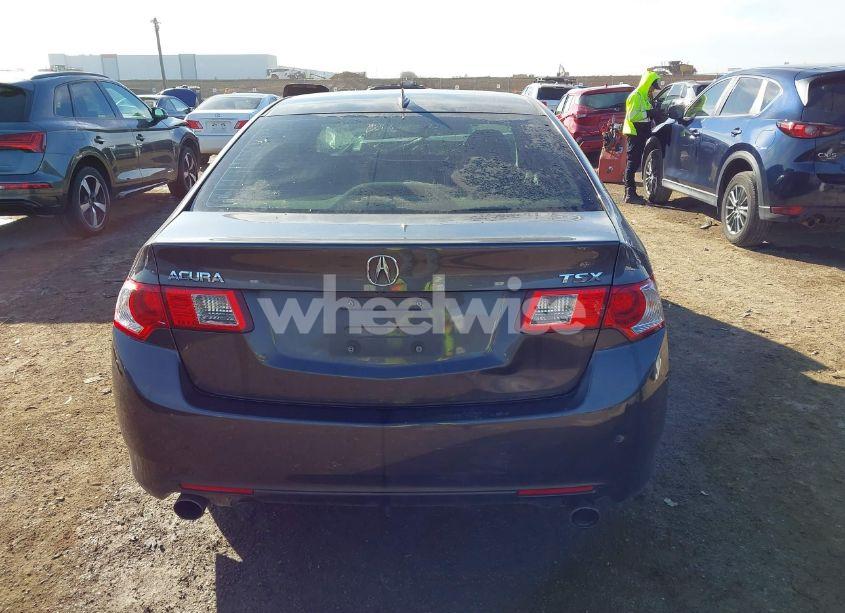 Photo 16 of 2010 Acura Tsx 2.4/2.4 (A5) (VIN JH4CU2F69AC012431)