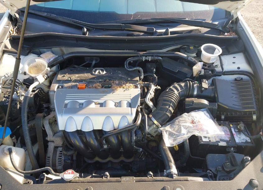 Photo 10 of 2010 Acura Tsx 2.4 (VIN JH4CU2F69AC026121)