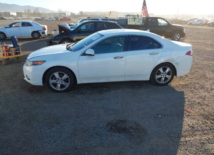 Photo 14 of 2011 Acura Tsx 2.4 (VIN JH4CU2F69BC000233)
