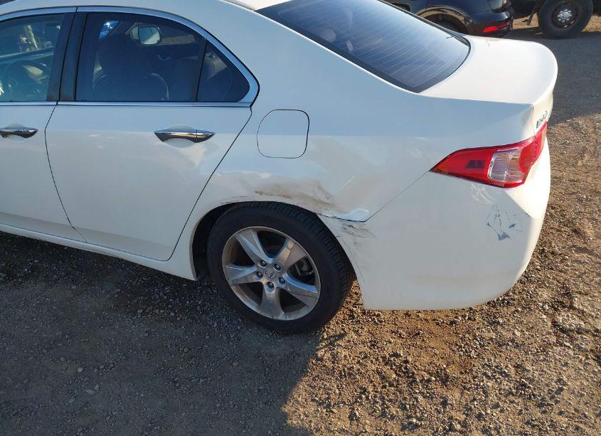 Photo 6 of 2011 Acura Tsx 2.4 (VIN JH4CU2F69BC000233)