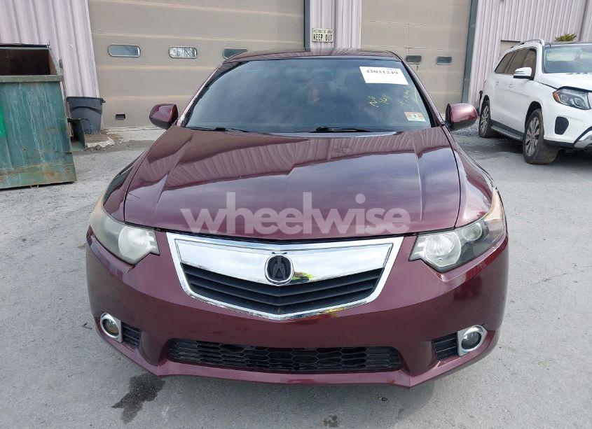 Photo 12 of 2011 Acura Tsx 2.4 (VIN JH4CU2F69BC014083)