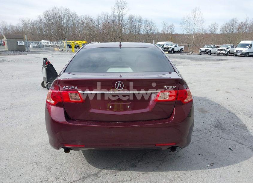 Photo 16 of 2011 Acura Tsx 2.4 (VIN JH4CU2F69BC014083)