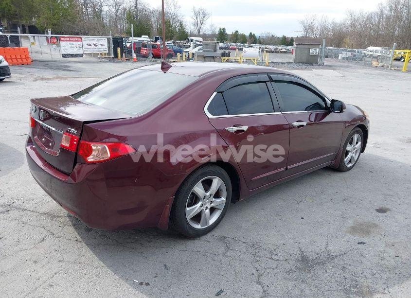 Photo 4 of 2011 Acura Tsx 2.4 (VIN JH4CU2F69BC014083)
