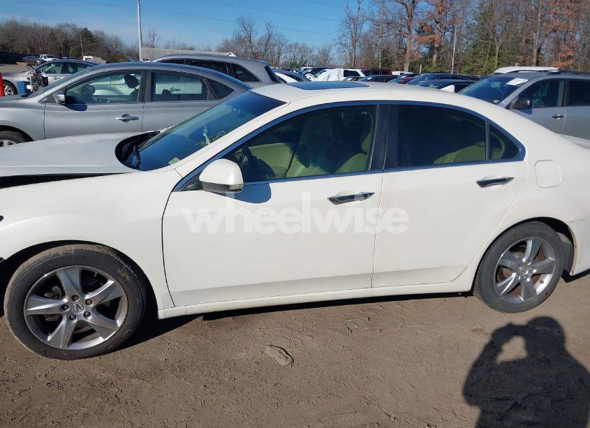 Photo 14 of 2011 Acura Tsx 2.4 (VIN JH4CU2F69BC016867)
