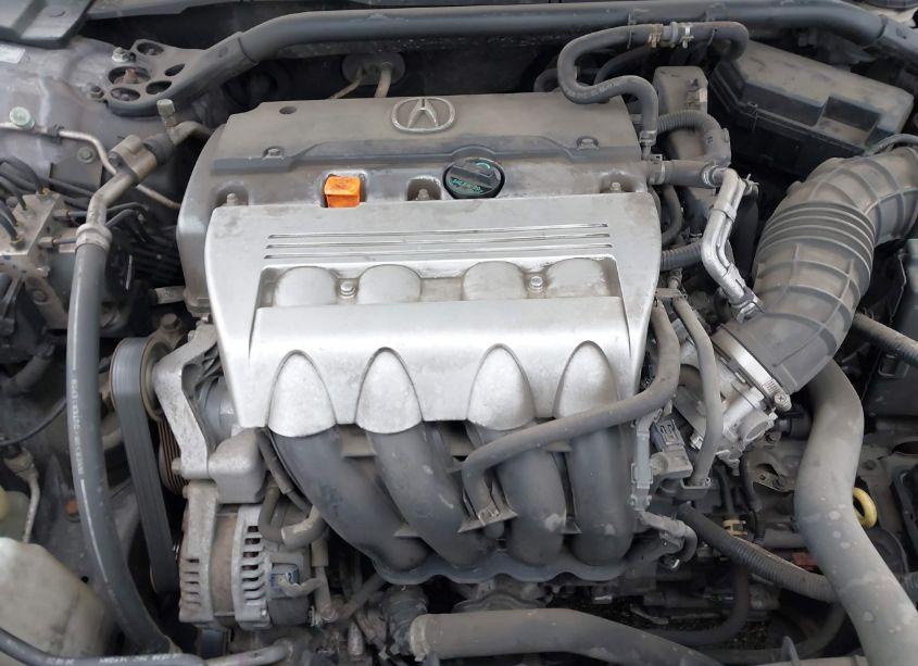 Photo 10 of 2010 Acura Tsx 2.4 (VIN JH4CU2F6XAC023678)