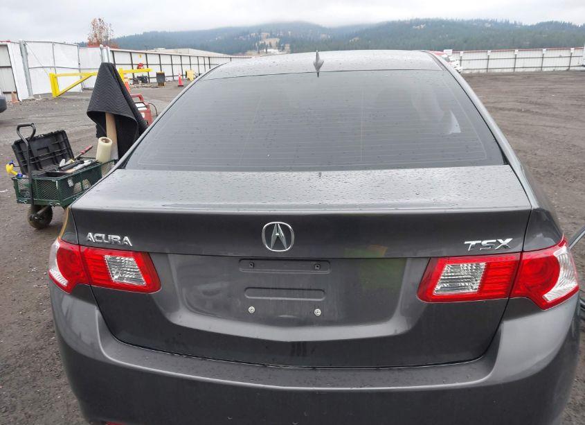 Photo 16 of 2010 Acura Tsx 2.4 (VIN JH4CU2F6XAC023678)