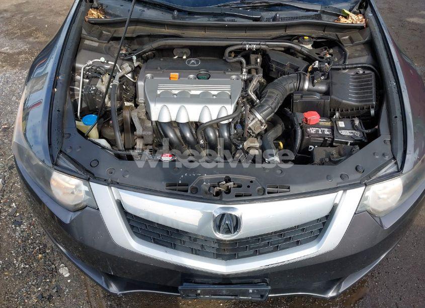 Photo 10 of 2010 Acura Tsx 2.4 (VIN JH4CU2F6XAC027892)