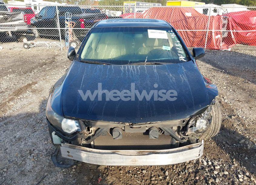 Photo 12 of 2010 Acura Tsx 2.4 (VIN JH4CU2F6XAC035412)