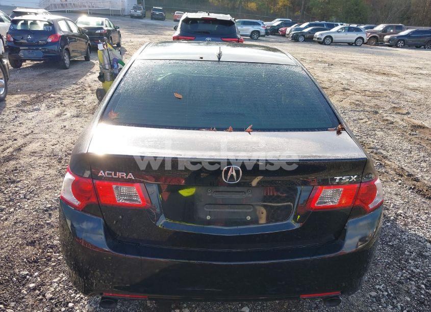 Photo 16 of 2010 Acura Tsx 2.4 (VIN JH4CU2F6XAC035412)