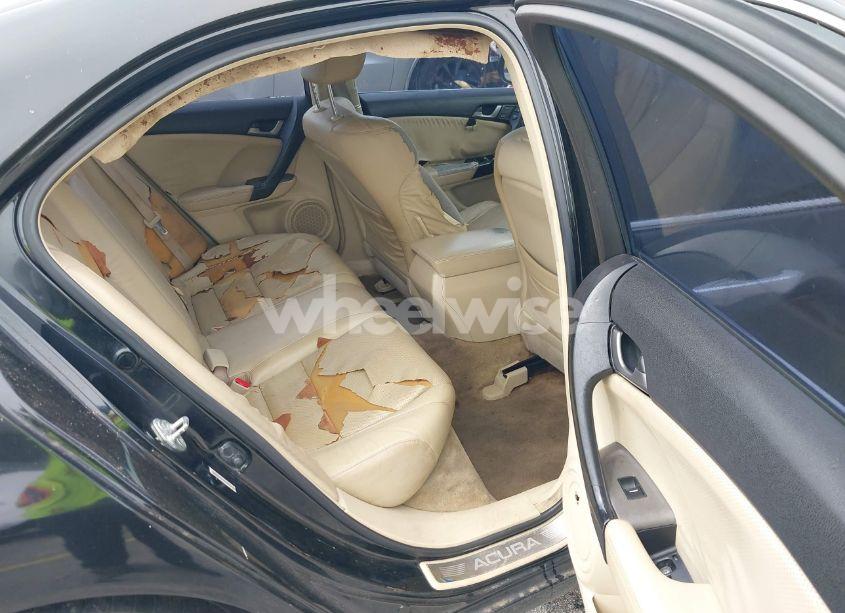 Photo 8 of 2010 Acura Tsx 2.4 (VIN JH4CU2F6XAC036821)