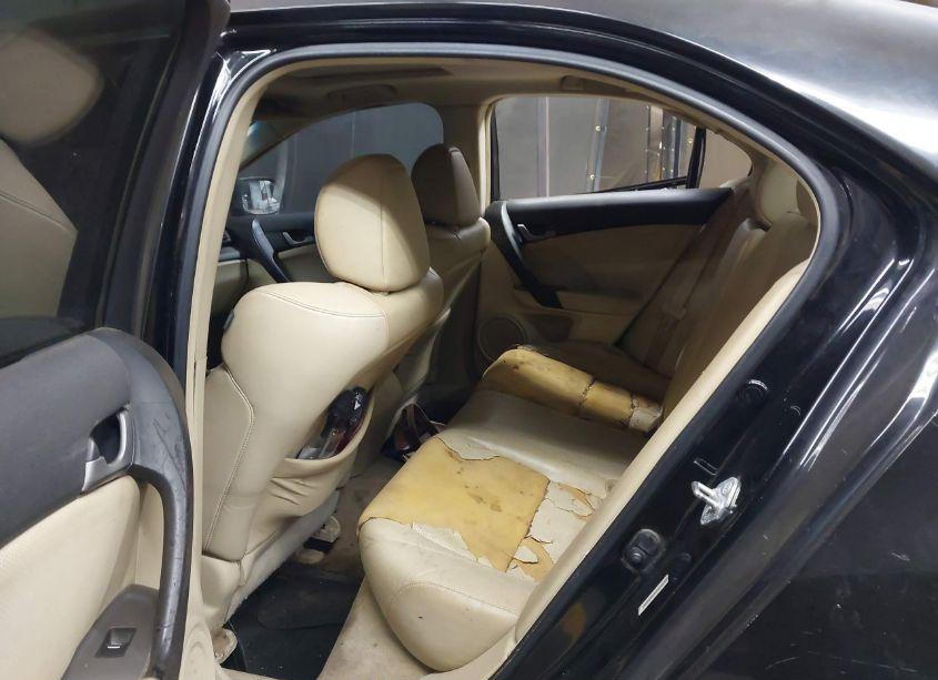 Photo 8 of 2010 Acura Tsx 2.4 (VIN JH4CU2F6XAC041954)