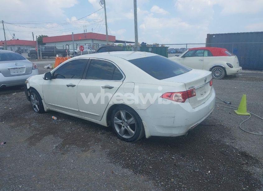 Photo 14 of 2011 Acura Tsx 2.4 (VIN JH4CU2F6XBC004310)