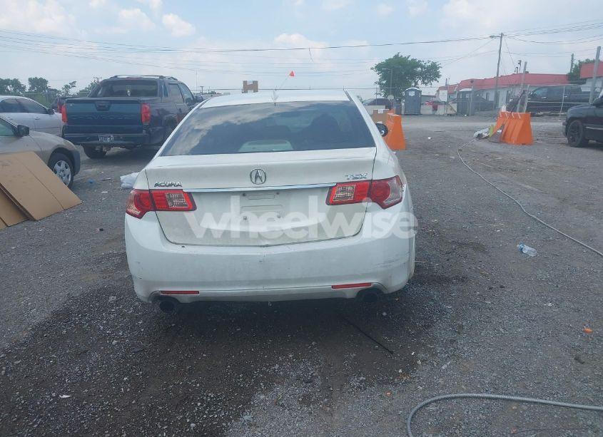 Photo 16 of 2011 Acura Tsx 2.4 (VIN JH4CU2F6XBC004310)