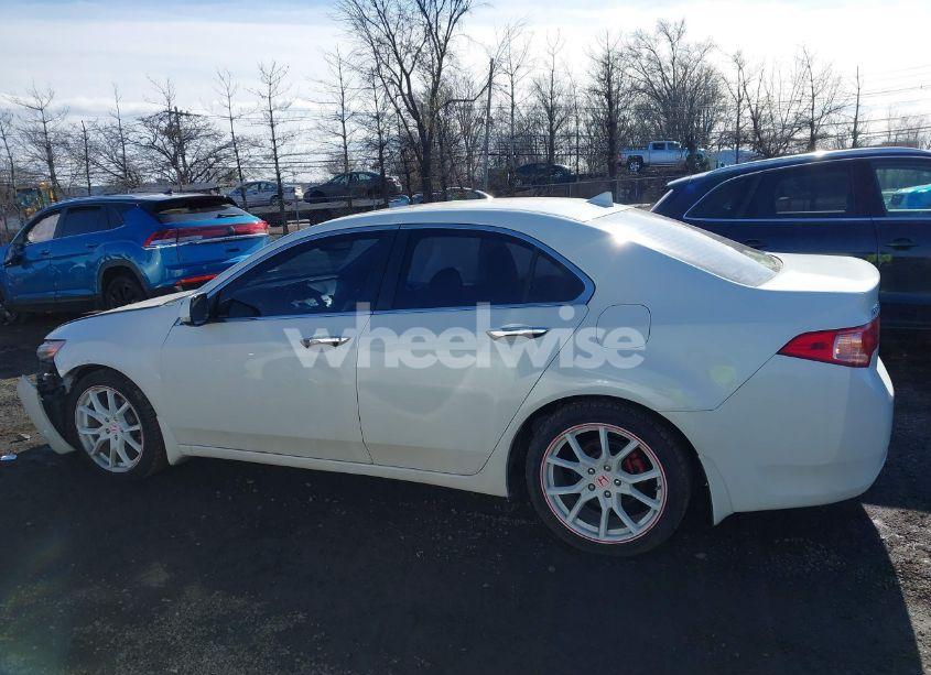 Photo 14 of 2011 Acura Tsx 2.4 (VIN JH4CU2F6XBC018000)
