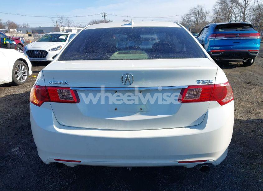 Photo 16 of 2011 Acura Tsx 2.4 (VIN JH4CU2F6XBC018000)