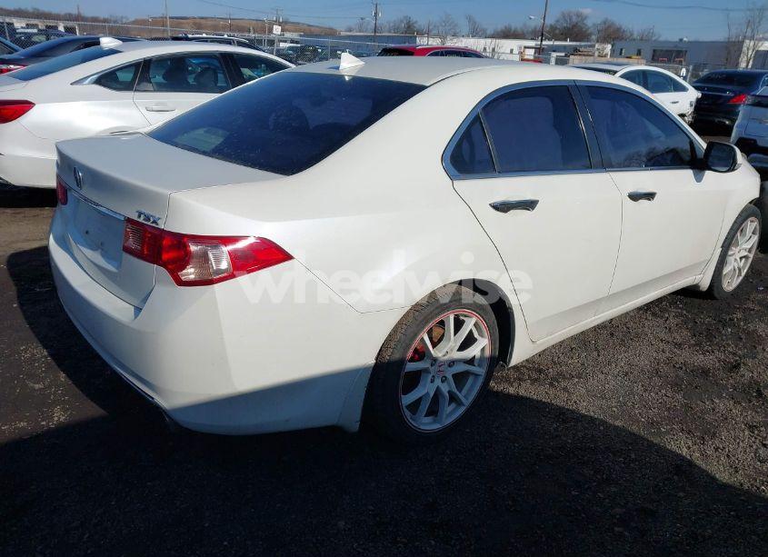 Photo 4 of 2011 Acura Tsx 2.4 (VIN JH4CU2F6XBC018000)