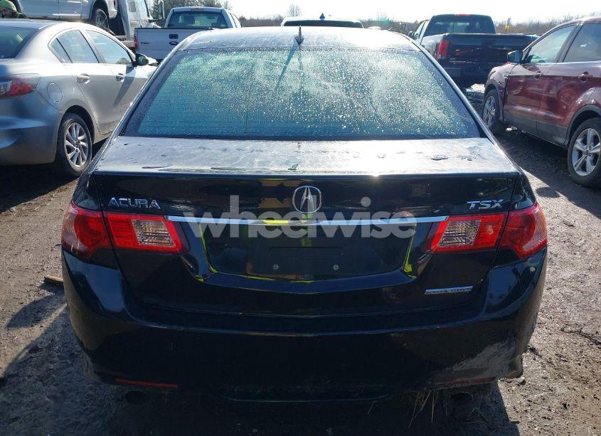 Photo 17 of 2012 Acura Tsx 2.4 (VIN JH4CU2F83CC021310)