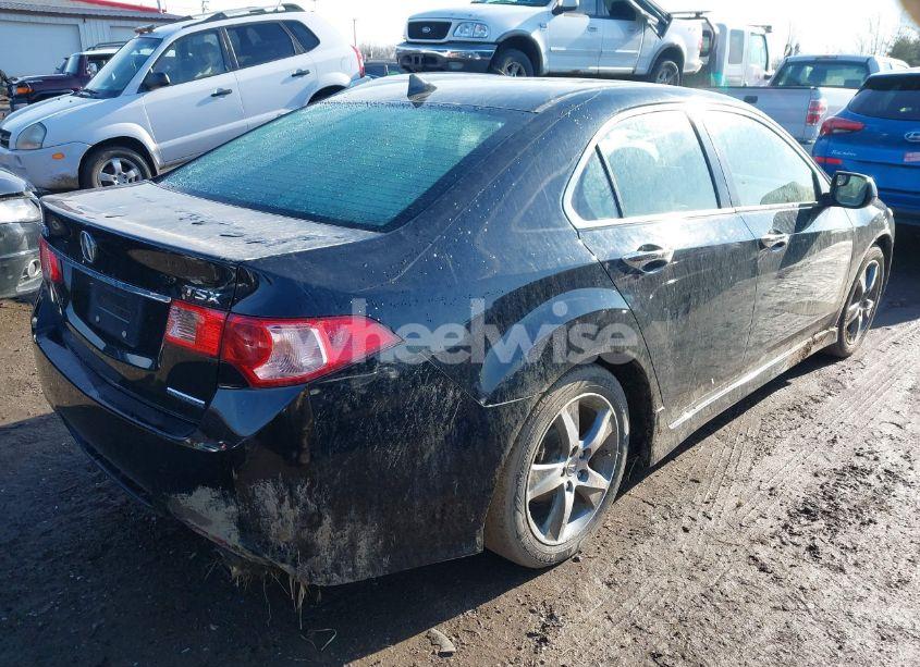 Photo 4 of 2012 Acura Tsx 2.4 (VIN JH4CU2F83CC021310)