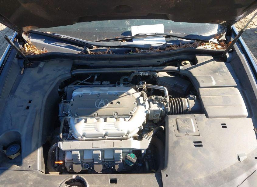 Photo 10 of 2010 Acura Tsx 3.5 (VIN JH4CU4F48AC000832)