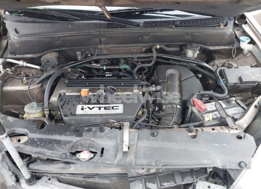 Photo 10 of 2004 Honda Cr-v LX (VIN JHLRD68454C006938)