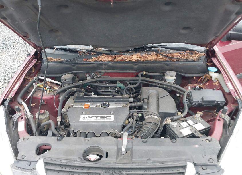 Photo 10 of 2002 Honda Cr-v LX (VIN JHLRD68482C015890)