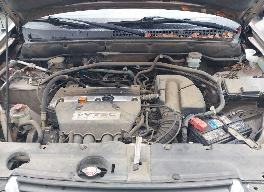 Photo 10 of 2003 Honda Cr-v LX (VIN JHLRD684X3C015374)