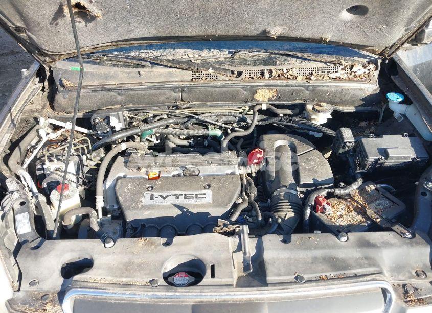 Photo 10 of 2005 Honda Cr-v LX (VIN JHLRD68595C004202)