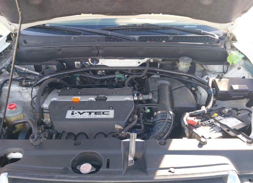 Photo 10 of 2003 Honda Cr-v LX (VIN JHLRD78463C016446)