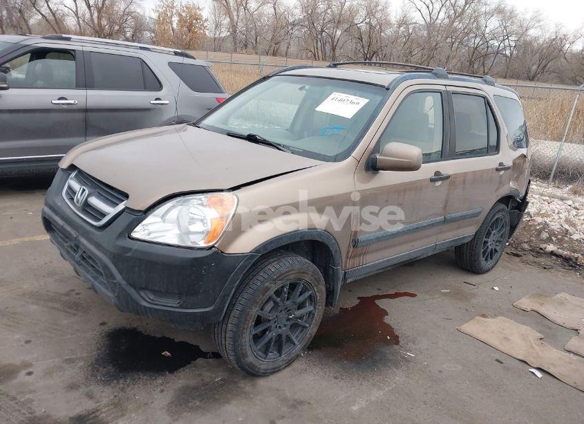 Photo 2 of 2002 Honda Cr-v EX (VIN JHLRD78812C025556)