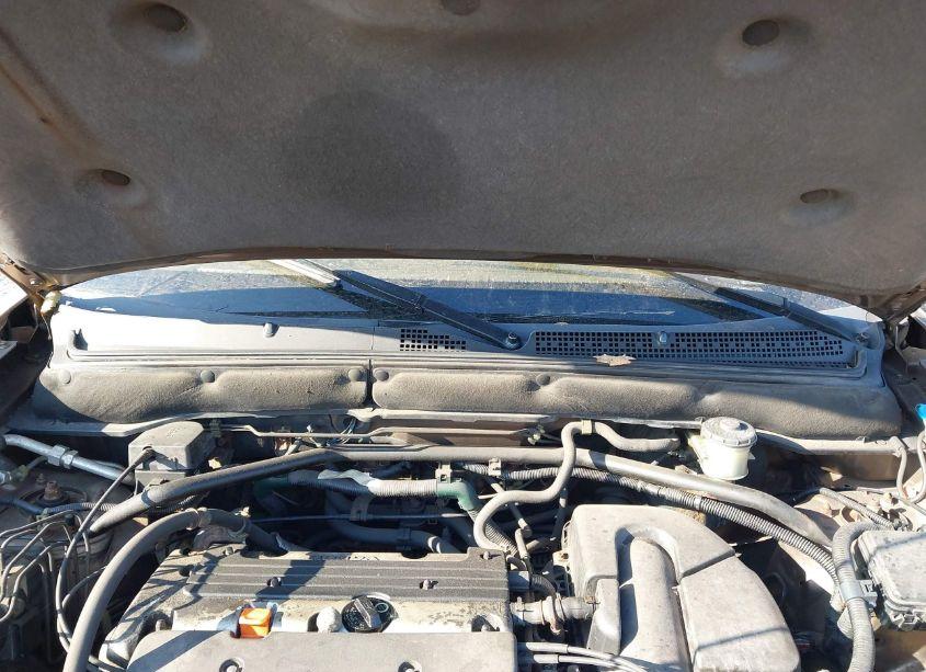 Photo 10 of 2002 Honda Cr-v EX (VIN JHLRD78822C012606)