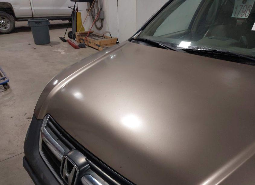 Photo 6 of 2004 Honda Cr-v EX (VIN JHLRD78824C003598)