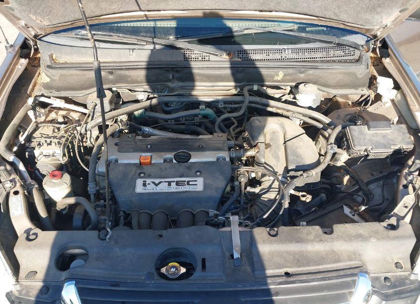 Photo 10 of 2003 Honda Cr-v EX (VIN JHLRD78843C012172)