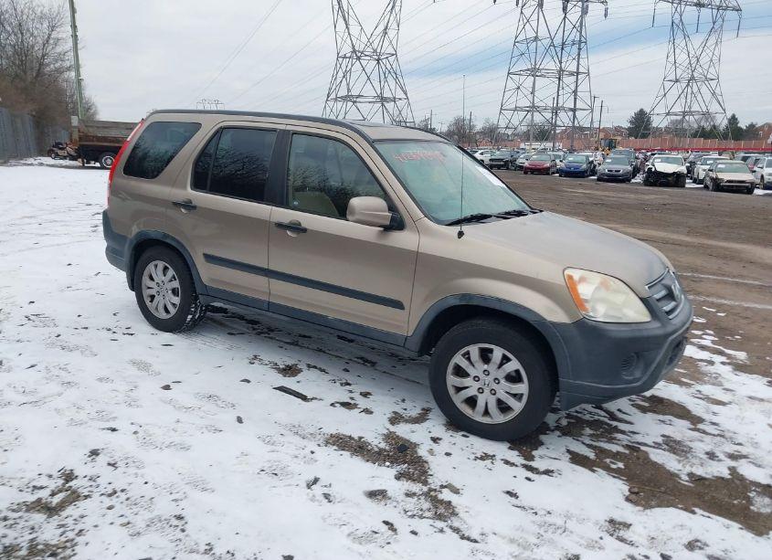 2005 Honda Cr-v EX (VIN JHLRD78845C001093) main photo