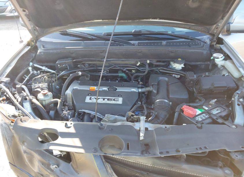 Photo 10 of 2006 Honda Cr-v EX (VIN JHLRD78856C041538)