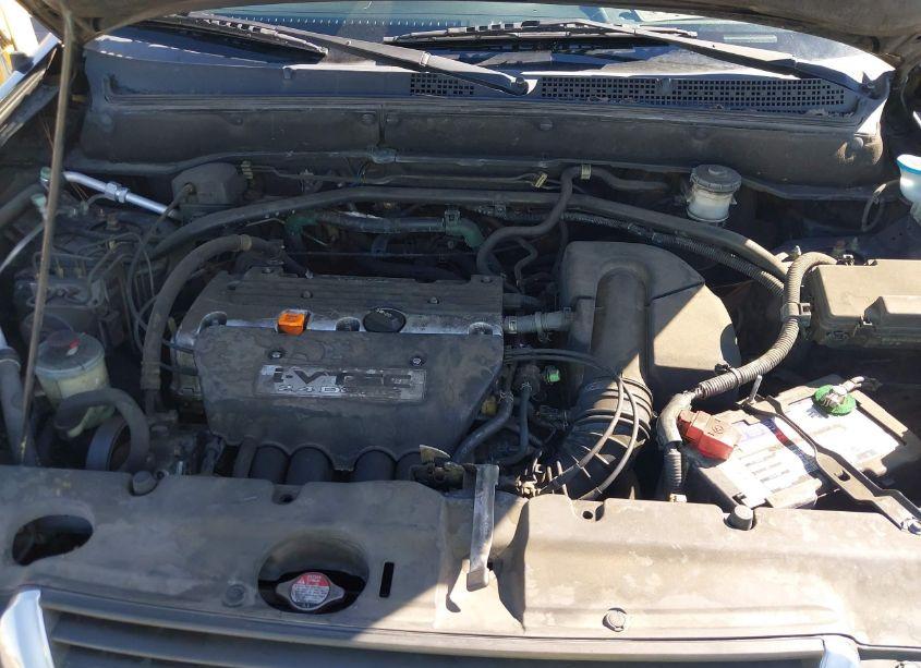 Photo 10 of 2004 Honda Cr-v EX (VIN JHLRD78874C019036)