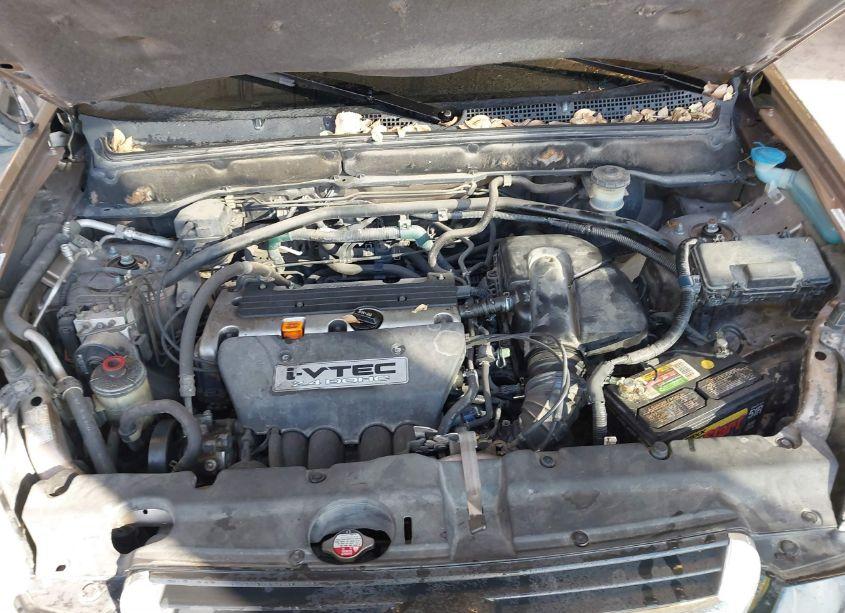 Photo 10 of 2004 Honda Cr-v EX (VIN JHLRD78874C045880)