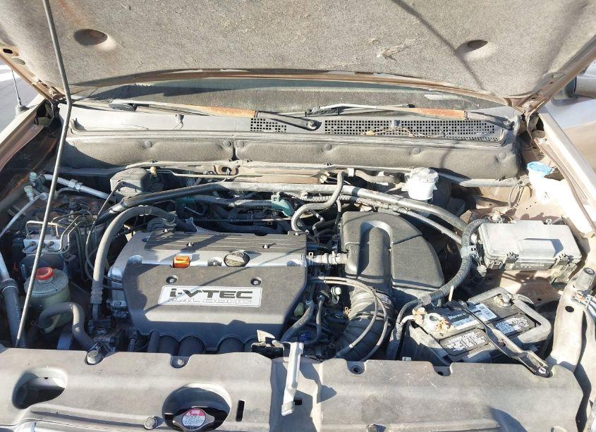 Photo 10 of 2002 Honda Cr-v EX (VIN JHLRD78882C072633)