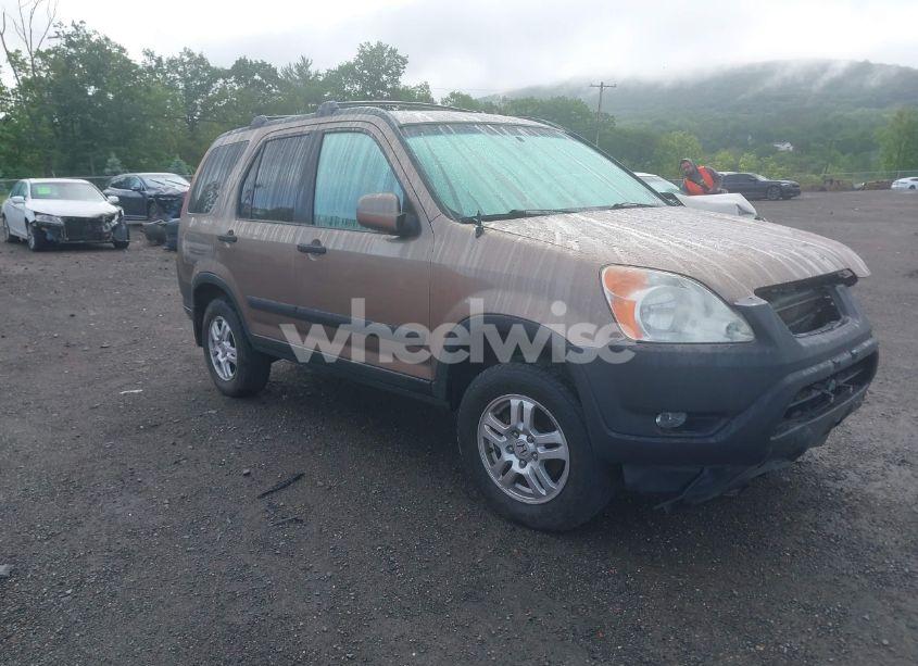 2004 Honda Cr-v EX (VIN JHLRD78884C007753) main photo