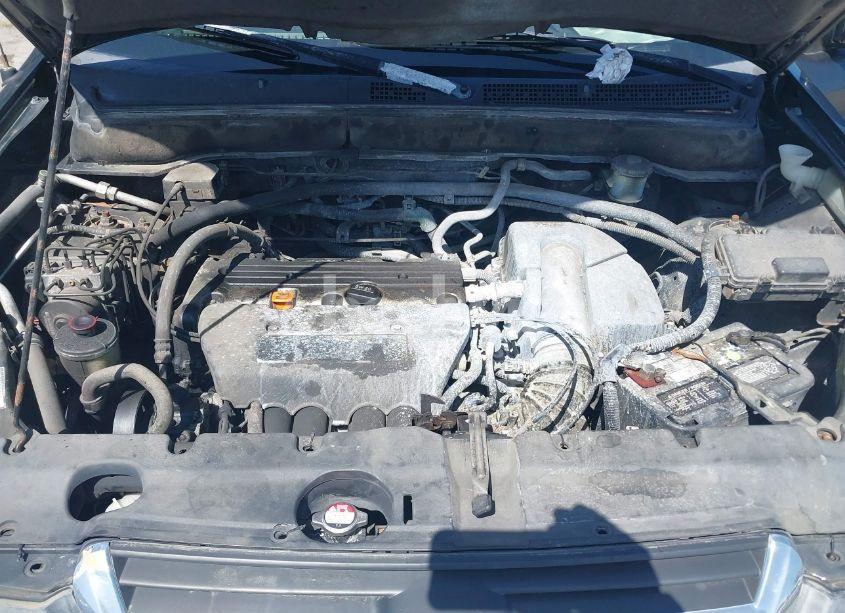 Photo 10 of 2004 Honda Cr-v EX (VIN JHLRD78884C041031)