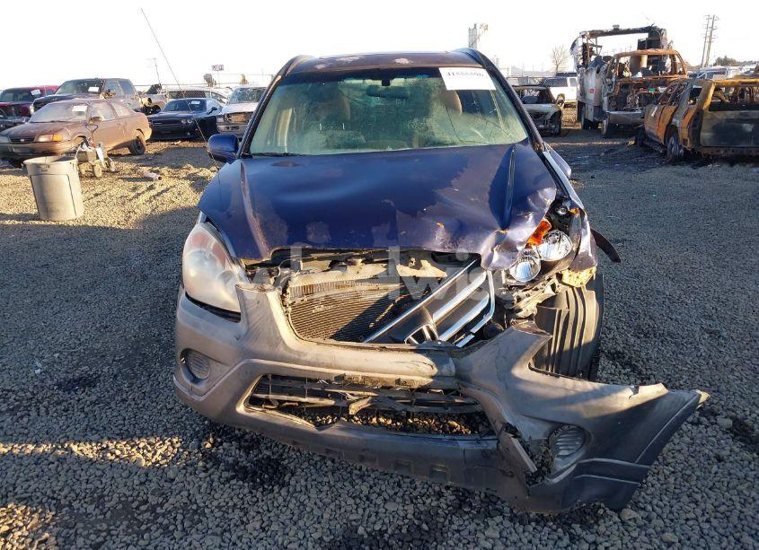 Photo 12 of 2005 Honda Cr-v EX (VIN JHLRD78885C025462)