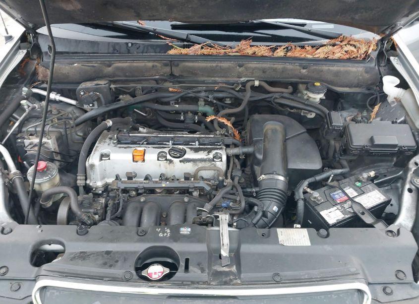 Photo 10 of 2006 Honda Cr-v EX (VIN JHLRD78886C016570)