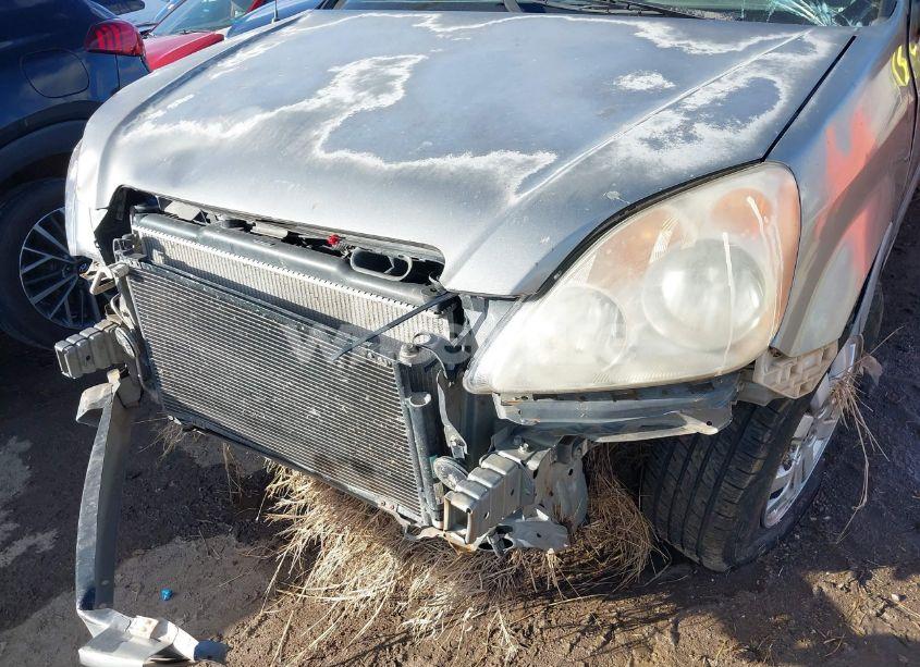 Photo 6 of 2006 Honda Cr-v EX (VIN JHLRD78886C025835)