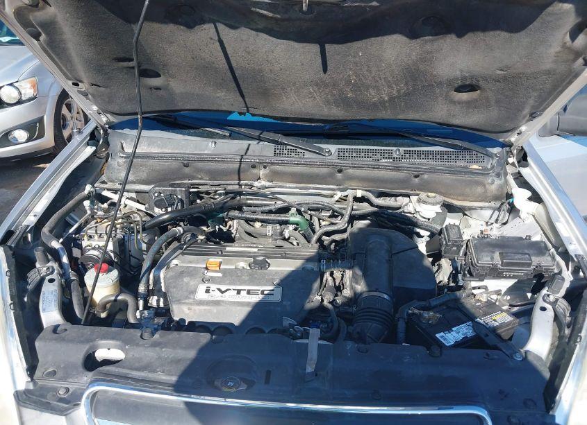 Photo 10 of 2006 Honda Cr-v EX (VIN JHLRD78896C063283)