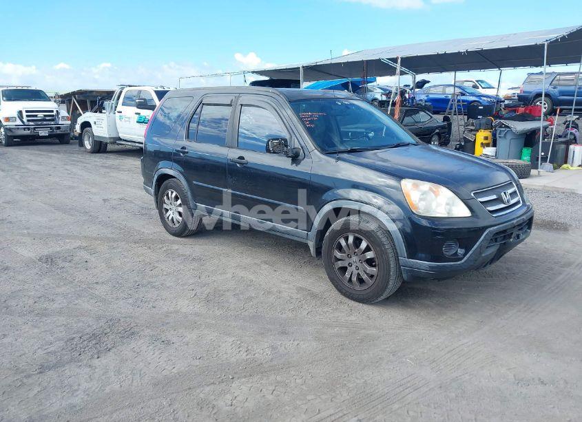 2005 Honda Cr-v SE (VIN JHLRD78905C005506) main photo