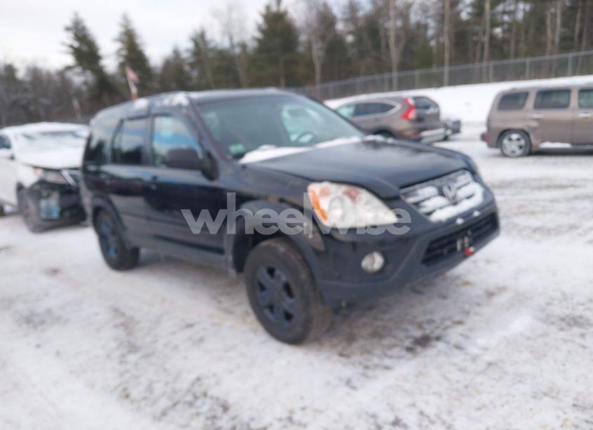 2005 Honda Cr-v SE (VIN JHLRD78915C001464) main photo