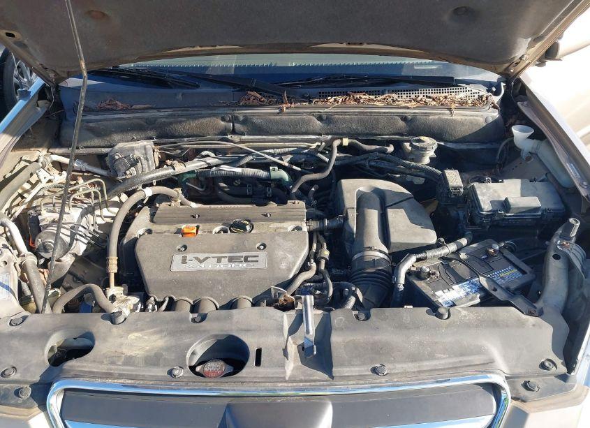 Photo 10 of 2005 Honda Cr-v SE (VIN JHLRD78915C031483)