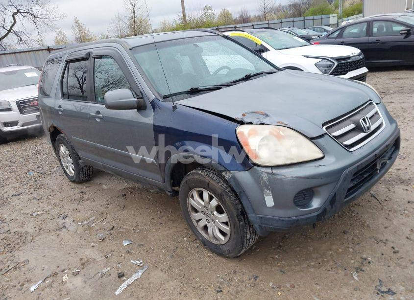 2006 Honda Cr-v SE (VIN JHLRD78916C002888) main photo