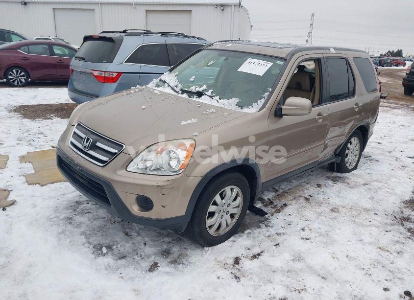 Photo 2 of 2006 Honda Cr-v SE (VIN JHLRD78916C050035)