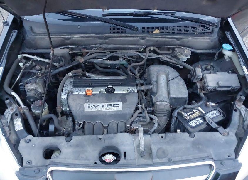 Photo 10 of 2005 Honda Cr-v SE (VIN JHLRD78945C008232)